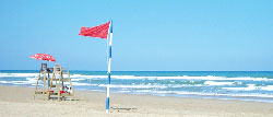 Bandera roja